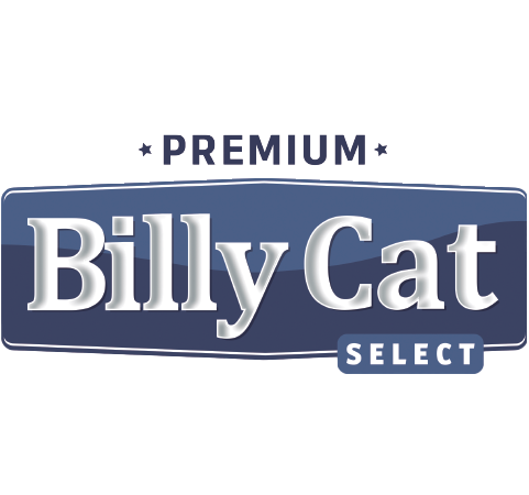 billy cat